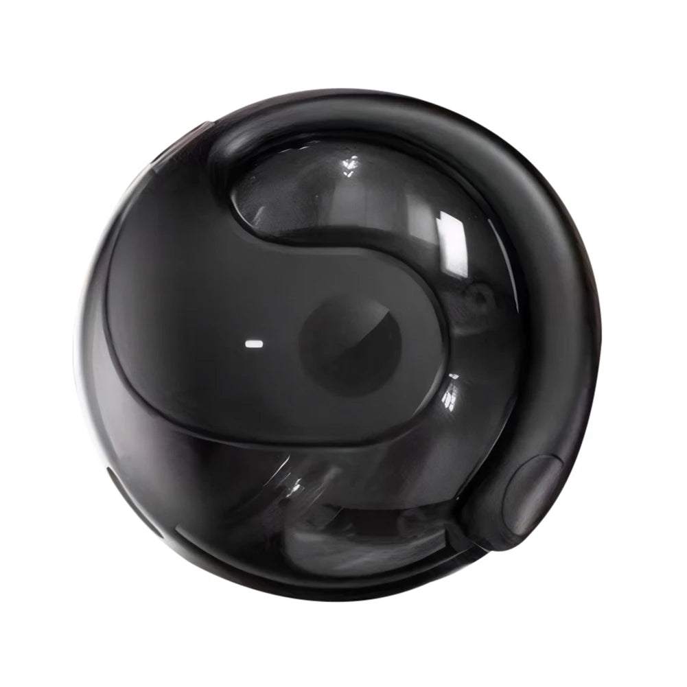 Auriculares con traducción en tiempo real mas 75 idiomas.